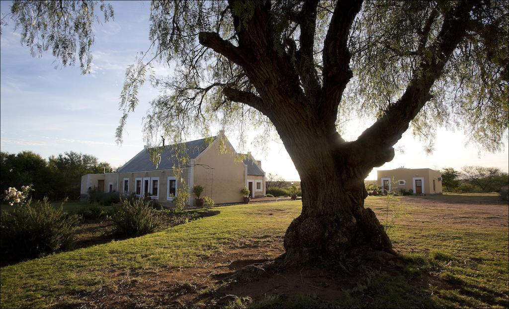 Rietfontein Ostrich Palace Vleirivier Bagian luar foto