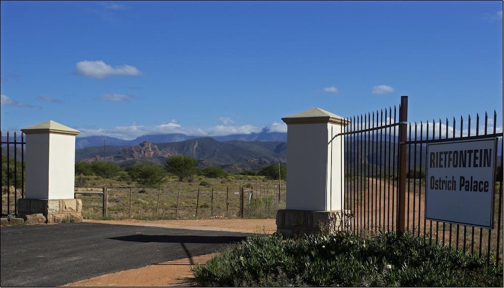 Rietfontein Ostrich Palace Vleirivier Bagian luar foto