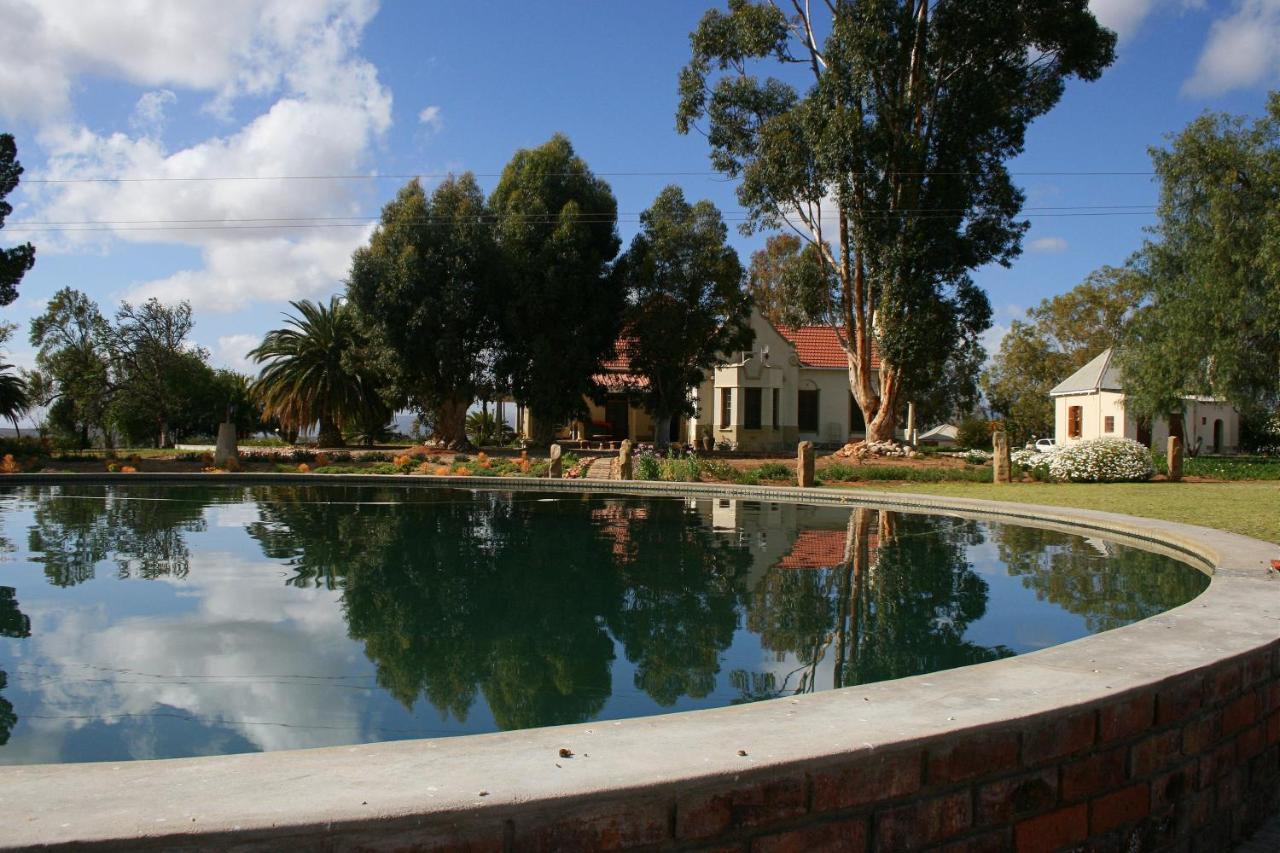 Rietfontein Ostrich Palace Vleirivier Bagian luar foto
